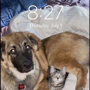 Meet your Posher, Matthew